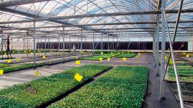 我國農業生產在物聯網應用方面存在的難題及解決措施