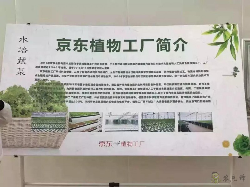 京東的這些“網(wǎng)紅”農(nóng)業(yè)項(xiàng)目，你都知道嗎？