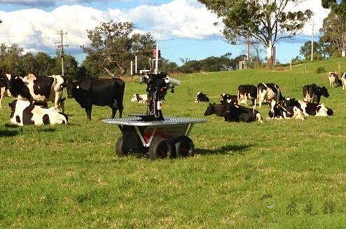 現場機器人，“上的了天 下的了地”