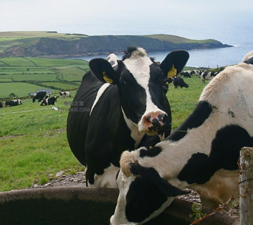 物聯(lián)網(wǎng)應(yīng)用于農(nóng)業(yè)中的好處是什么