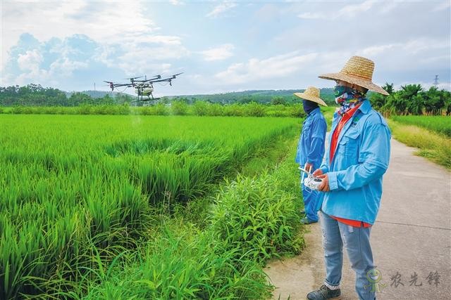 海南農(nóng)業(yè)注入&ldquo;智慧農(nóng)業(yè)&rdquo;