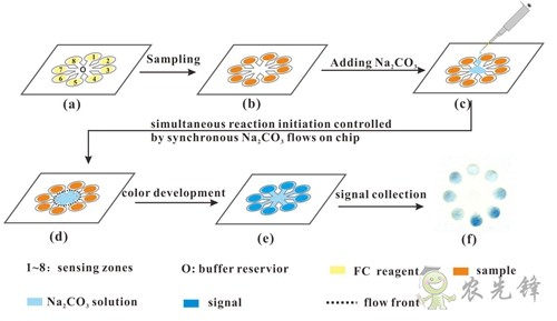 茶多酚含量有多少？這個(gè)技術(shù)10分鐘就可測出來