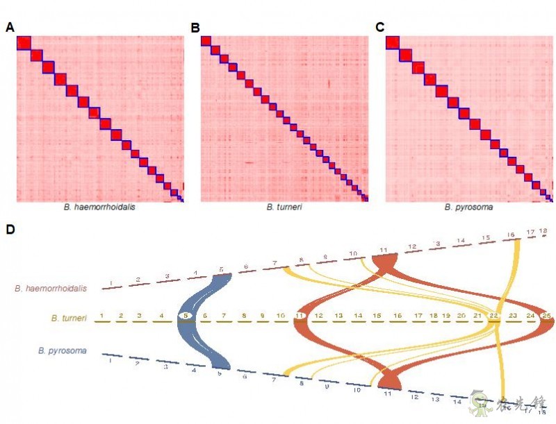 農(nóng)業(yè)科普