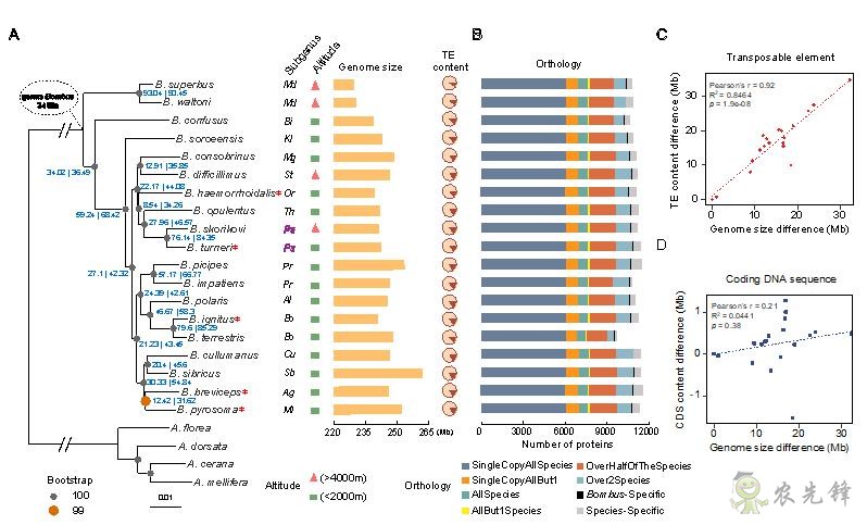 農(nóng)業(yè)科普