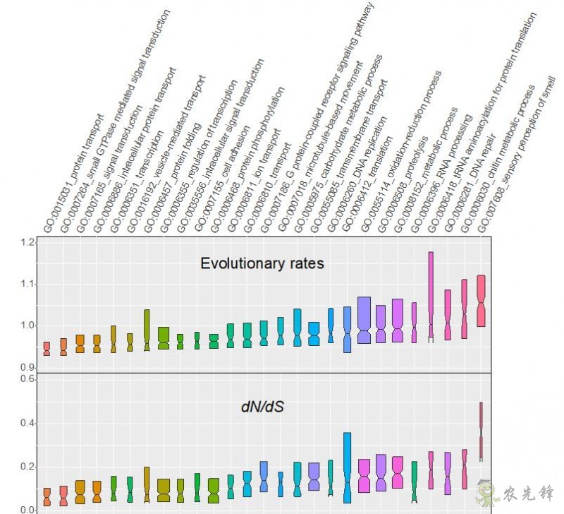 農(nóng)業(yè)科普