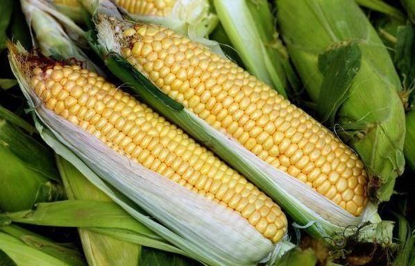 現(xiàn)代農業(yè)