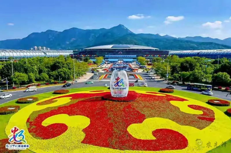 加快完善農村電商服務體系,農業農村電商展8月福州舉辦