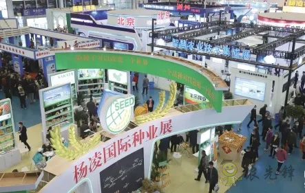 楊凌：強化使命擔當　交好&ldquo;上合答卷&rdquo;