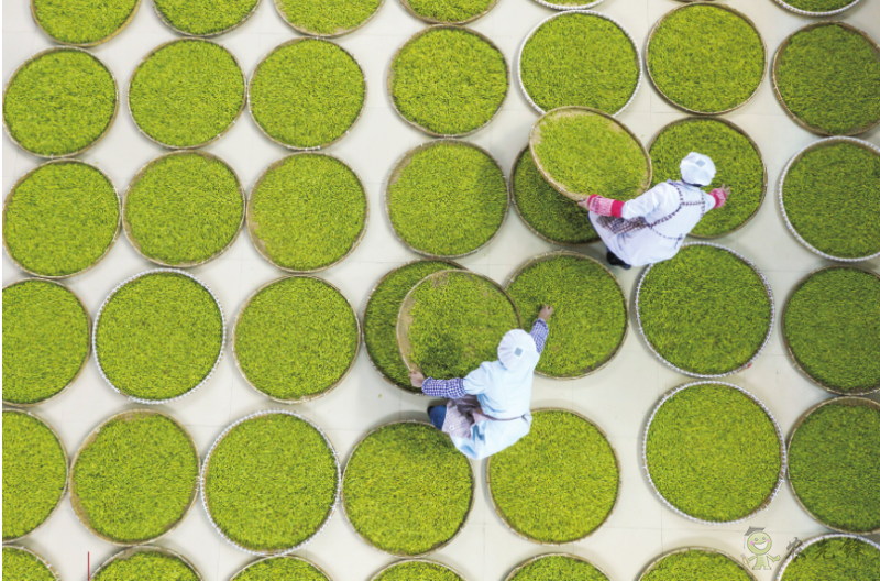 《鄉村振興戰略規劃實施報告(2020年)》出版發布