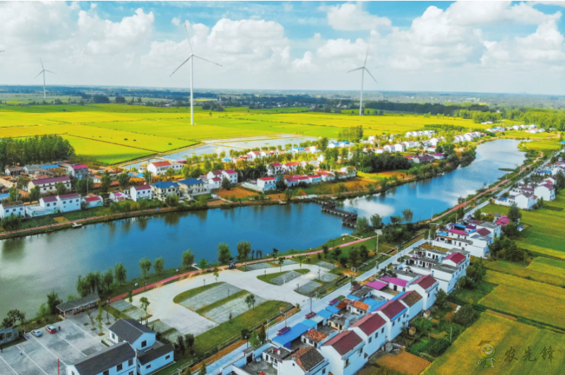 《鄉村振興戰略規劃實施報告(2020年)》出版發布