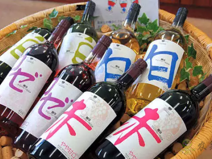 日本農業:憑為什么能走在世界前列,有一個點值得我們學習