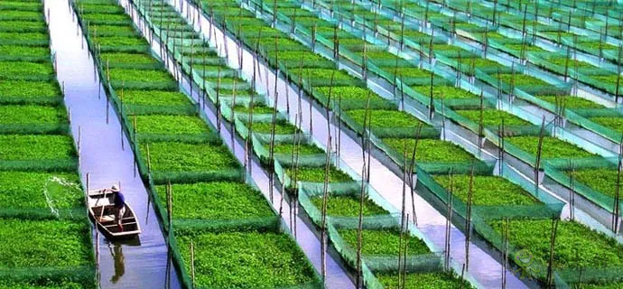 淘寶大學:為什么說農村電商的未來是分享農業