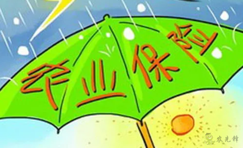 龍文軍:河南特大暴雨突顯農業保險的重要性