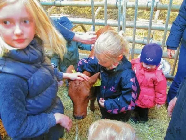 有機農業的全球典范:丹麥經驗