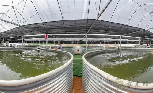 數(shù)字漁業(yè)裝備在水產(chǎn)養(yǎng)殖中的應(yīng)用