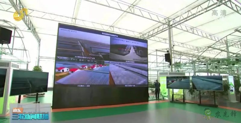 “壽光標準”向全國輸出 推動蔬菜產業(yè)提檔升級