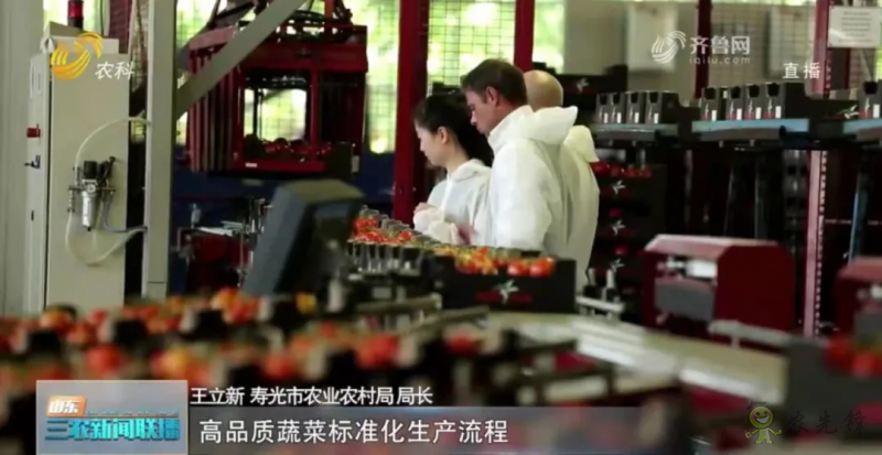 “壽光標準”向全國輸出 推動蔬菜產業(yè)提檔升級