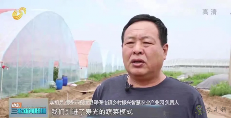 “壽光標準”向全國輸出 推動蔬菜產業(yè)提檔升級