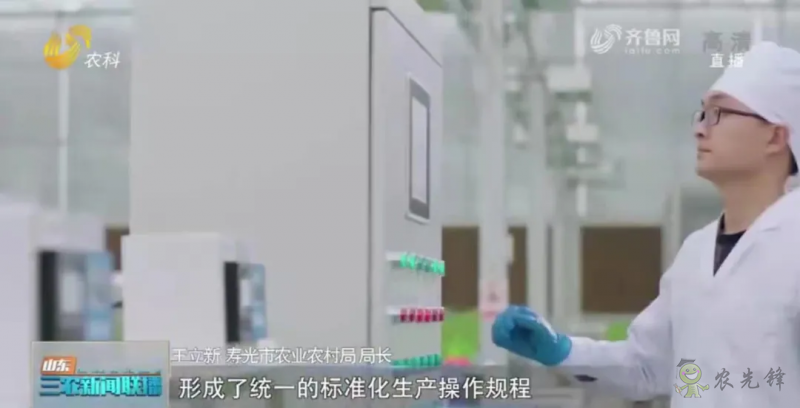 “壽光標準”向全國輸出 推動蔬菜產業(yè)提檔升級