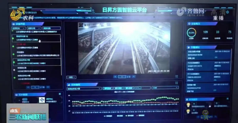山東日照： 智慧養(yǎng)殖新模式 36萬(wàn)只肉雞養(yǎng)殖不犯難