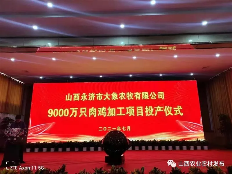 山西:“五好”畜牧領跑農業高質量發展