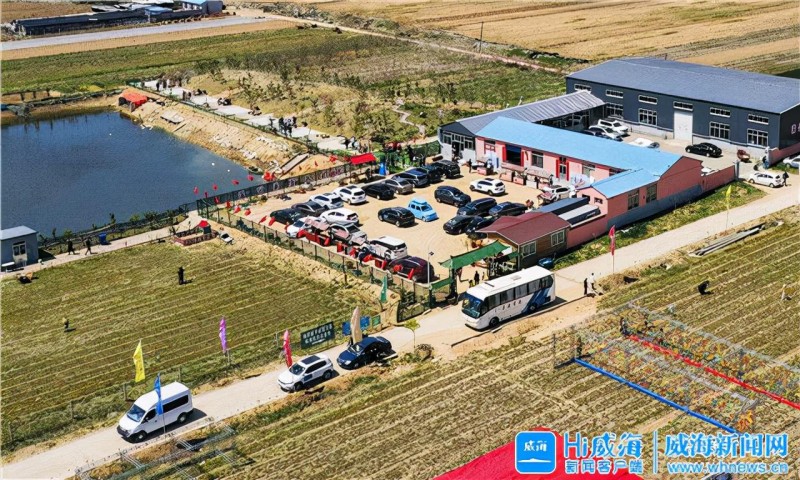 威海全面推進(jìn)鄉(xiāng)村振興 重點(diǎn)發(fā)展20個(gè)農(nóng)業(yè)優(yōu)勢(shì)產(chǎn)業(yè)