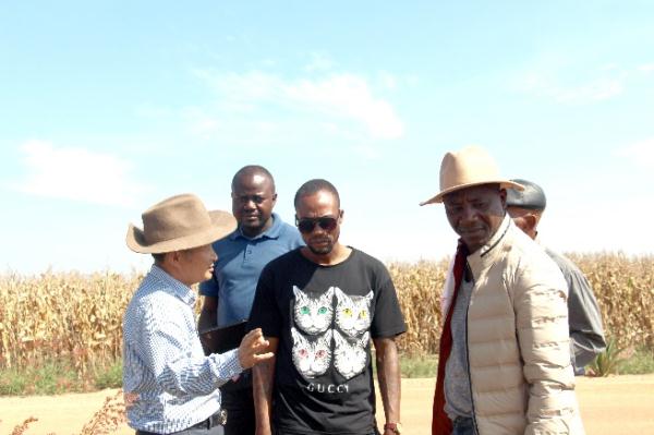 “中國農(nóng)技”“中國農(nóng)機(jī)”“中國農(nóng)場(chǎng)”助力非洲農(nóng)業(yè)發(fā)展