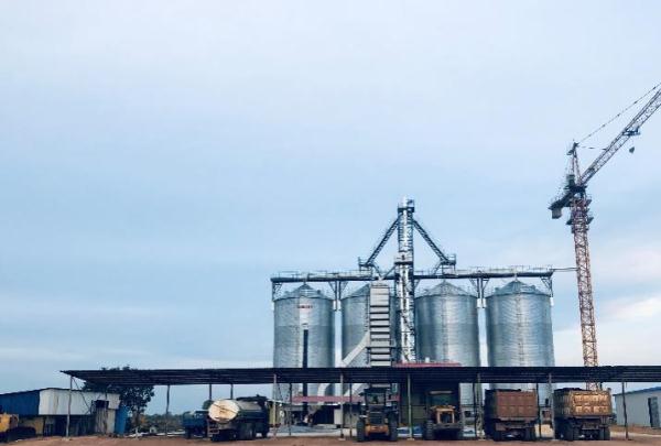 “中國農(nóng)技”“中國農(nóng)機(jī)”“中國農(nóng)場(chǎng)”助力非洲農(nóng)業(yè)發(fā)展