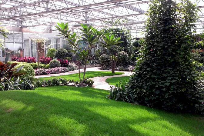 設(shè)施園藝智能化發(fā)展趨勢(shì)與路徑