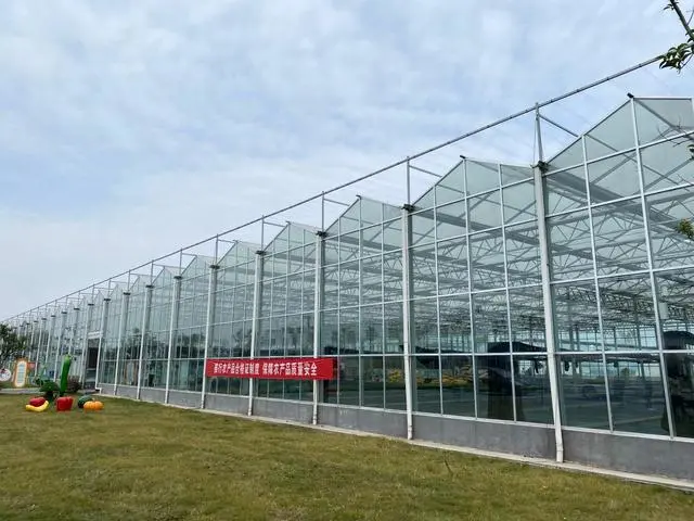 江蘇:全省“一張網”,兜牢農產品質量