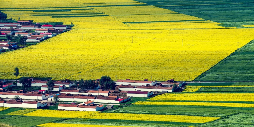 新一代智慧農(nóng)業(yè)技術(shù)應(yīng)用展望