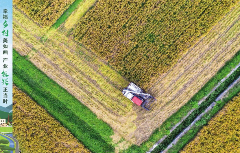 無(wú)人農(nóng)場(chǎng)