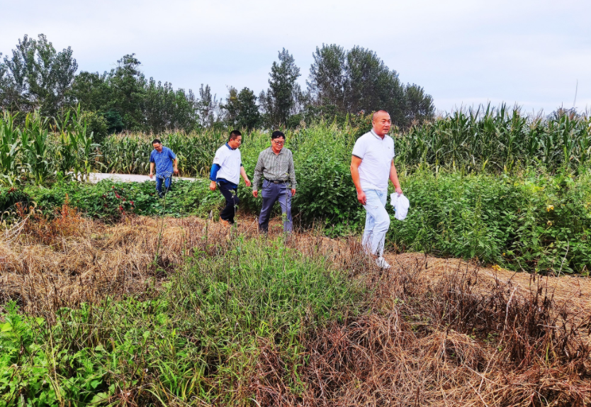 國家加大農(nóng)業(yè)獎補力度，對農(nóng)民種糧是個好消息，2022年該如何調(diào)整