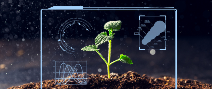 農業物聯網的作用?農業物聯網都應用在哪?