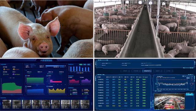 作者:成都世紀銳通