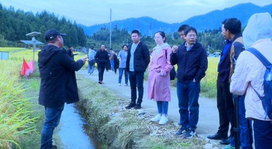 武夷山田間課堂:將農技送到田埂