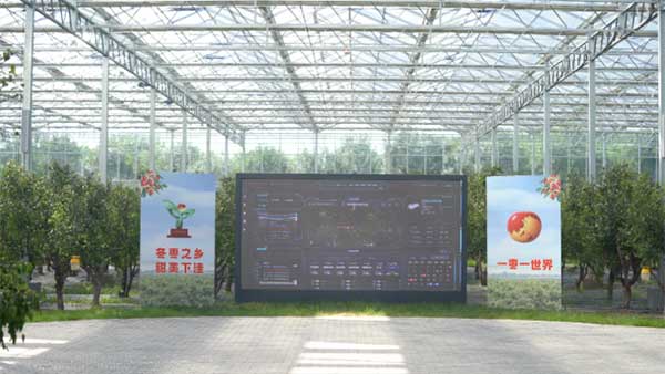 齊魯靈秀地 品牌農產品:智慧大棚里的沾化冬棗