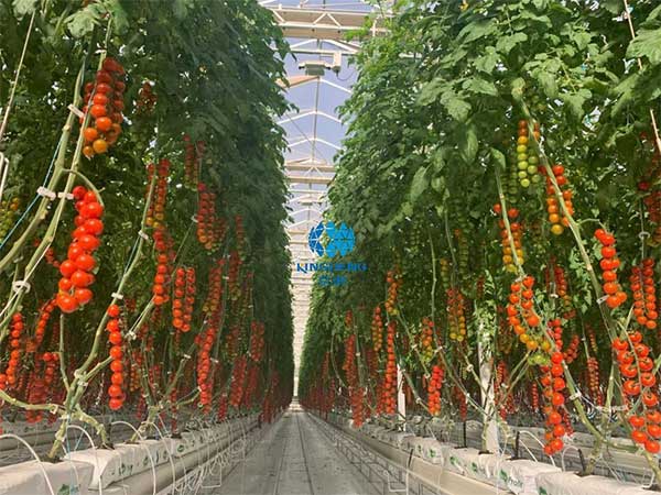 引領行業技術創新“京鵬智造”結碩果 ——專訪京鵬科技總工程師:周增產