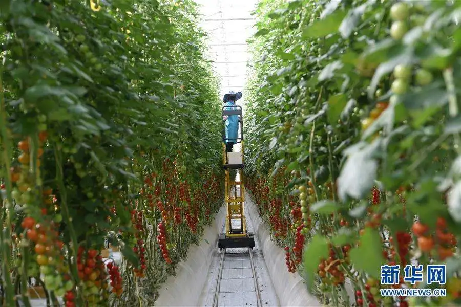 黃季焜:借勢借力做好農業共享經濟