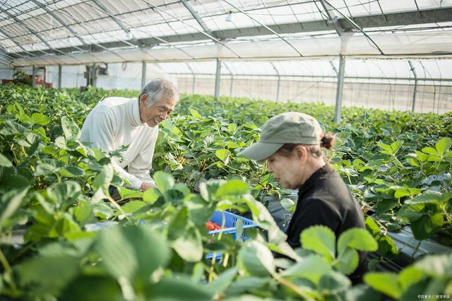 三大智慧農(nóng)業(yè)特點，引領現(xiàn)代農(nóng)業(yè)發(fā)展