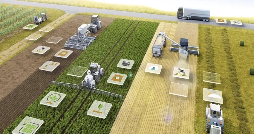 人民論壇:農業(yè)品牌如何實現(xiàn)數字化轉型?