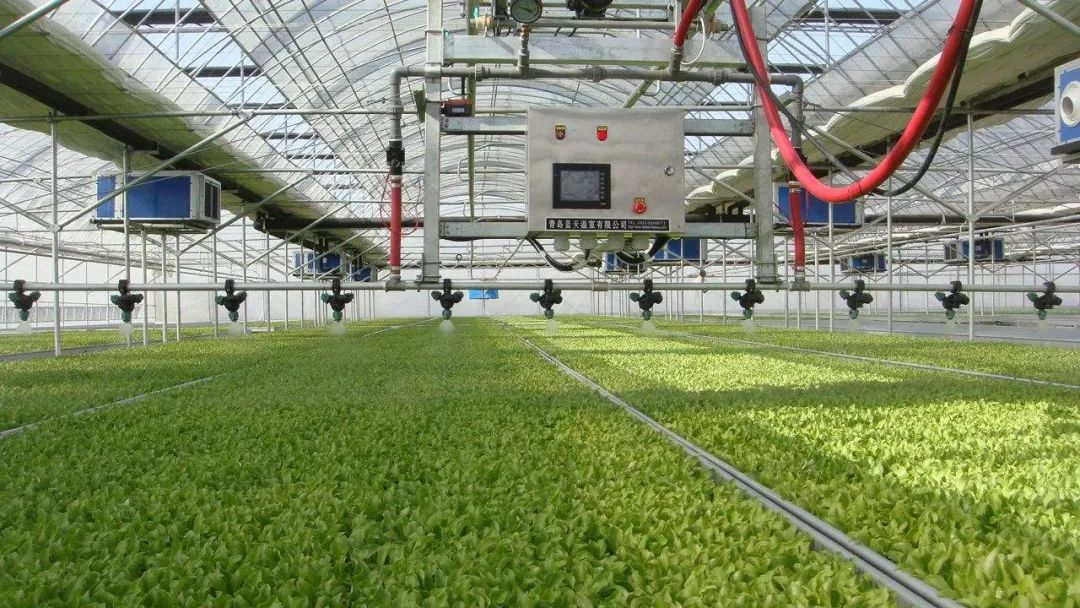 農(nóng)業(yè)農(nóng)村部:主攻智慧農(nóng)業(yè),從七個(gè)方面全面突破