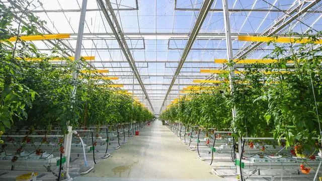 好！北京：設施農業機械化率今年將達到43.5%！