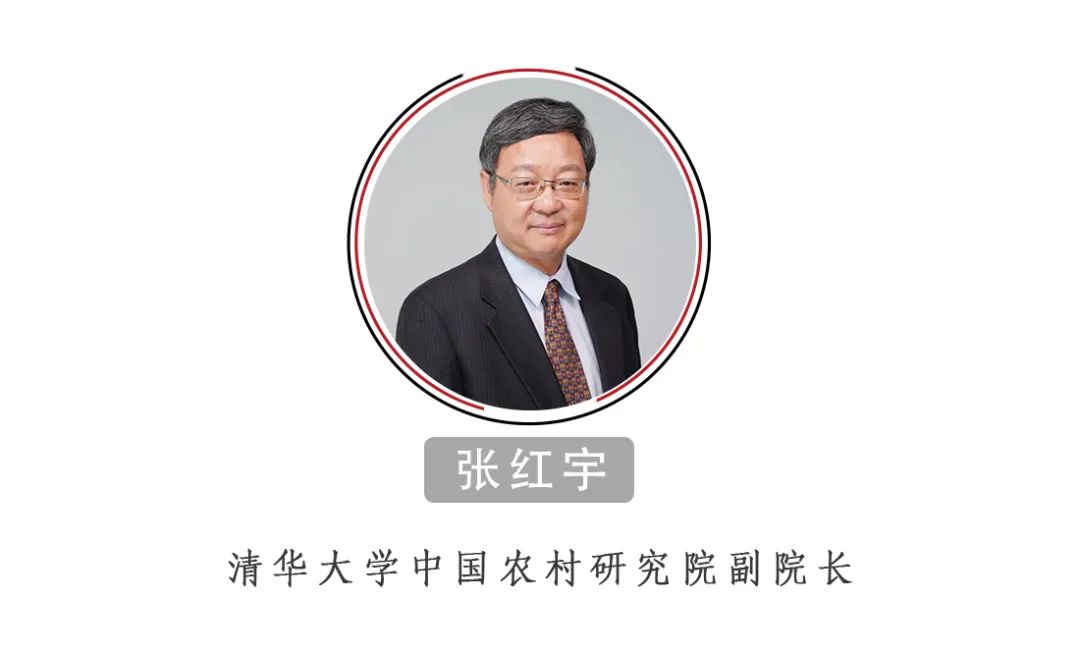 張紅宇：中國的糧食供給安全嗎？絕對沒有問題！