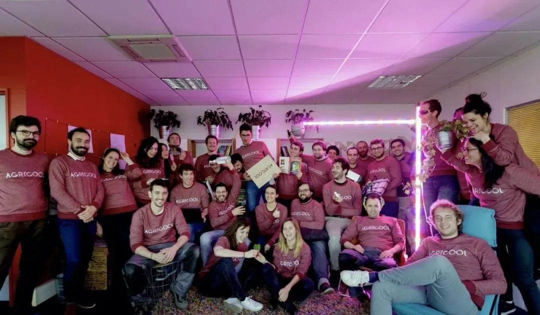 失敗案例！又一個垂直農業先驅倒下，留給中國農業老板的思考