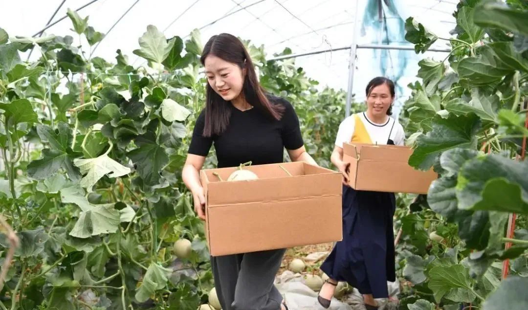 【縣域農(nóng)業(yè)】縣域是未來(lái)農(nóng)業(yè)品牌建設(shè)的主戰(zhàn)場(chǎng)！