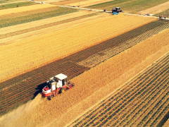 李天祥 鐘鈺:高質量建設國家糧食安全產業帶