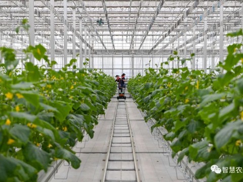 農(nóng)業(yè)部出手，智慧農(nóng)業(yè)將迎來(lái)七個(gè)方面全面突破！