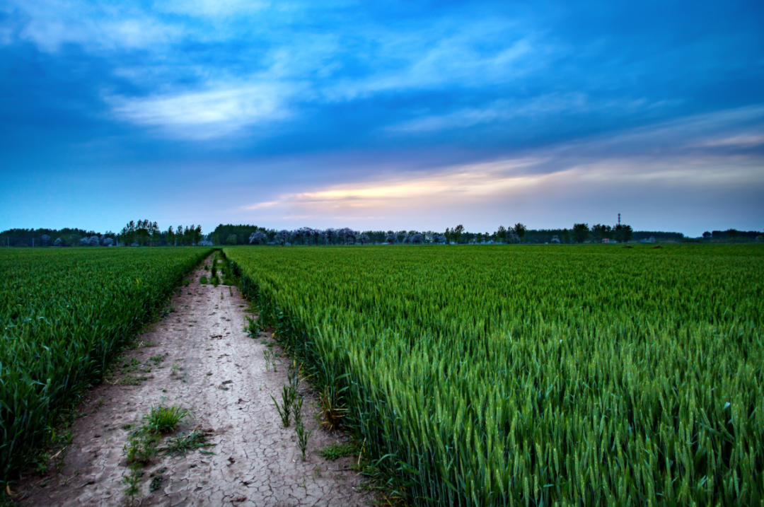中國農業領域投資的全新模式，這一省份打造了全國新標桿！