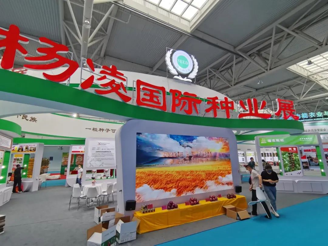 聚焦農(nóng)高會 | 如何攥牢種業(yè)“芯片” 本屆論壇有看頭